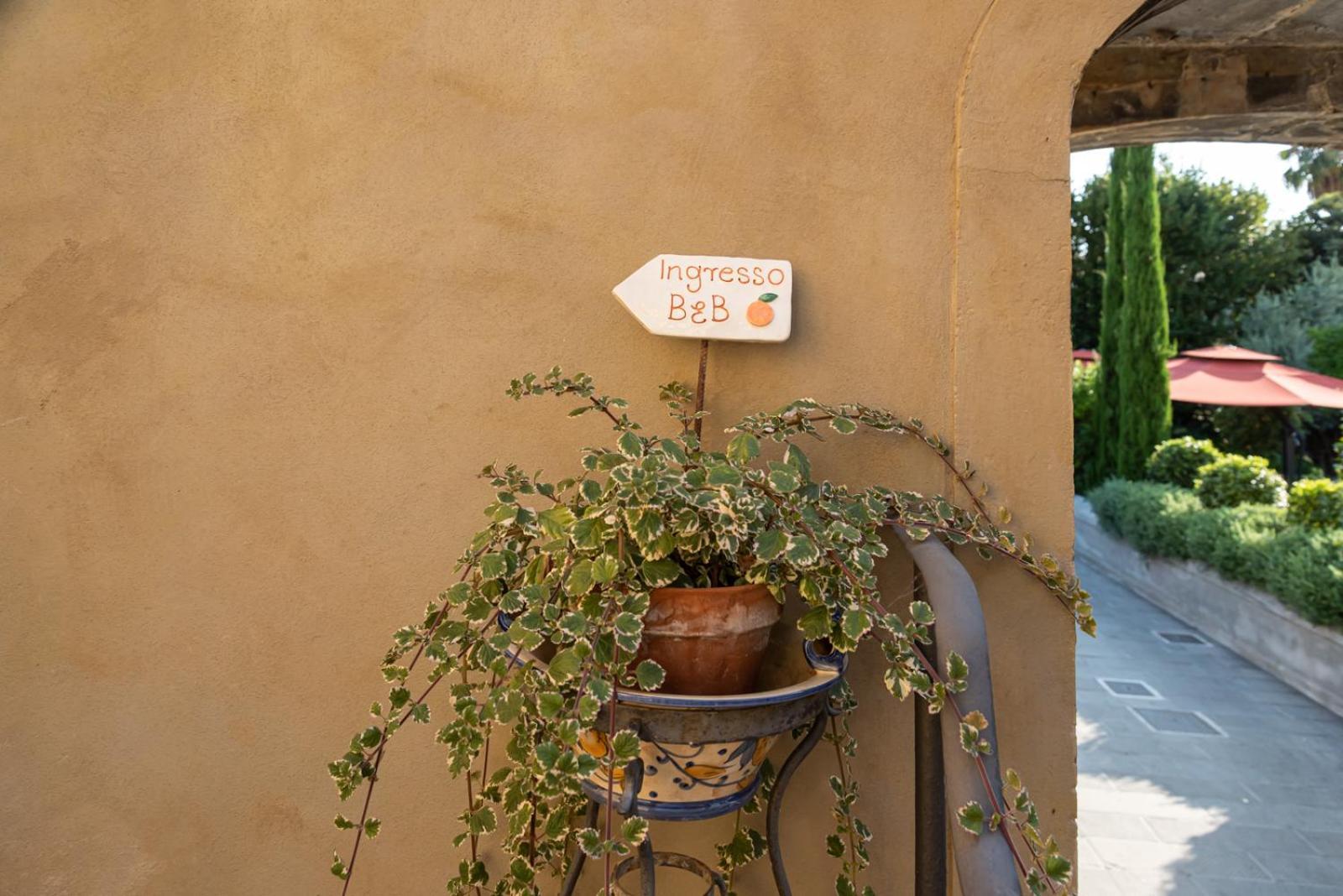 B&B L' Orangerie Pietrasanta Exterior foto